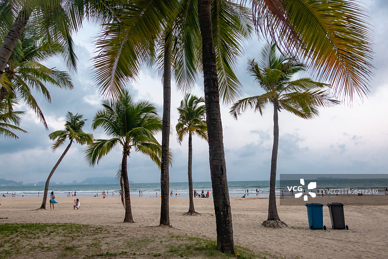 海南省三亚市三亚湾椰梦长廊图片素材