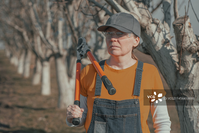 使用伸缩剪的园丁图片素材