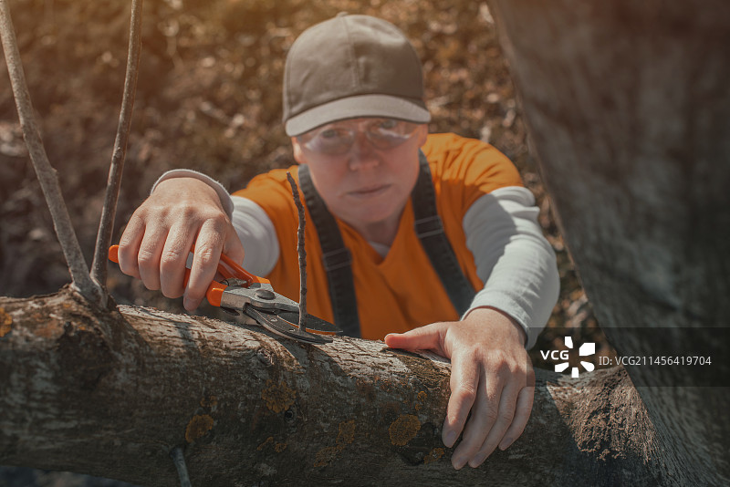 园丁使用修枝剪图片素材