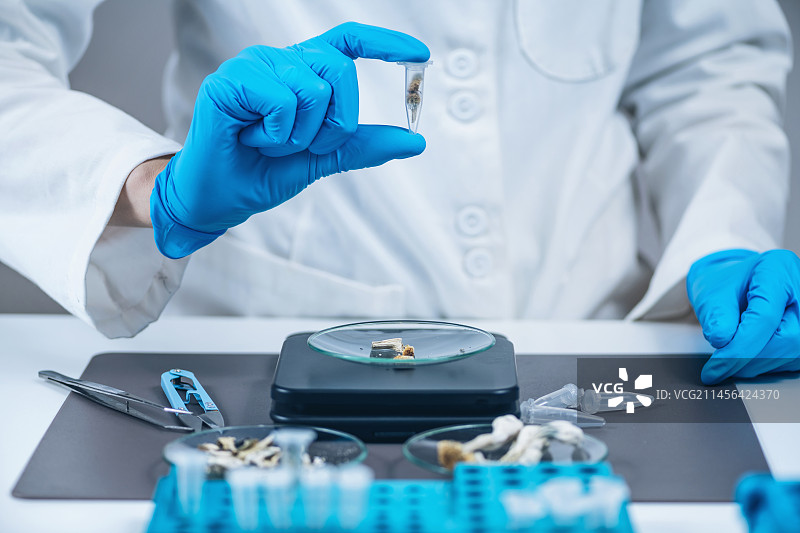 拿着微量赛洛西宾的实验室技术员图片素材