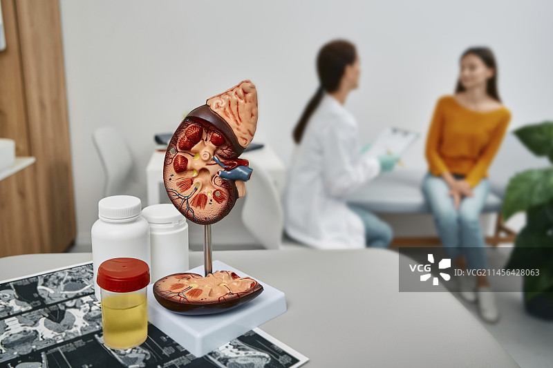 肾脏疾病概念图图片素材