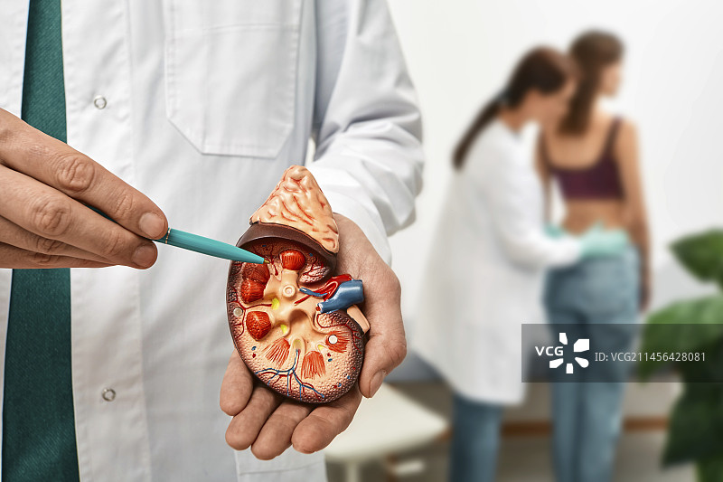 肾脏疾病概念图图片素材