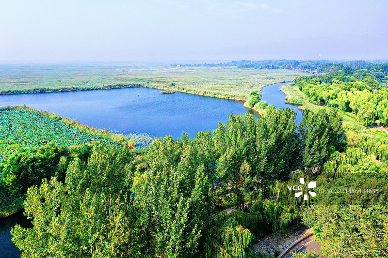 白洋淀，花香艳，碧波荡漾绿无限。鸟飞天，鱼蟹鲜。云水之间廊连天。大观园，伟壮观，惊奇靓丽更养眼 仙境图片素材
