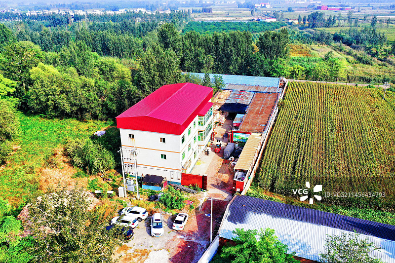 白洋淀，花香艳，碧波荡漾绿无限。鸟飞天，鱼蟹鲜。云水之间廊连天。大观园，伟壮观，惊奇靓丽更养眼 仙境图片素材