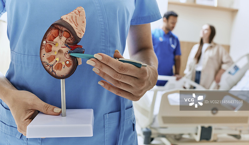 肾脏疾病概念图图片素材