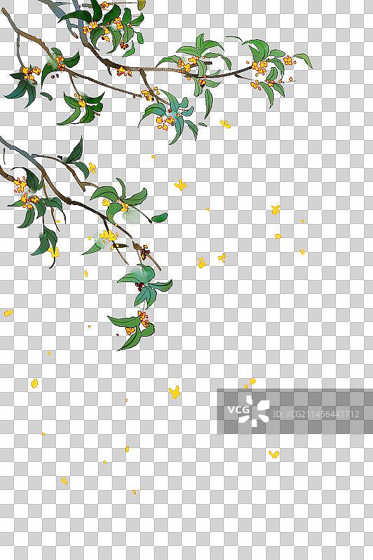 桂花元素图片素材