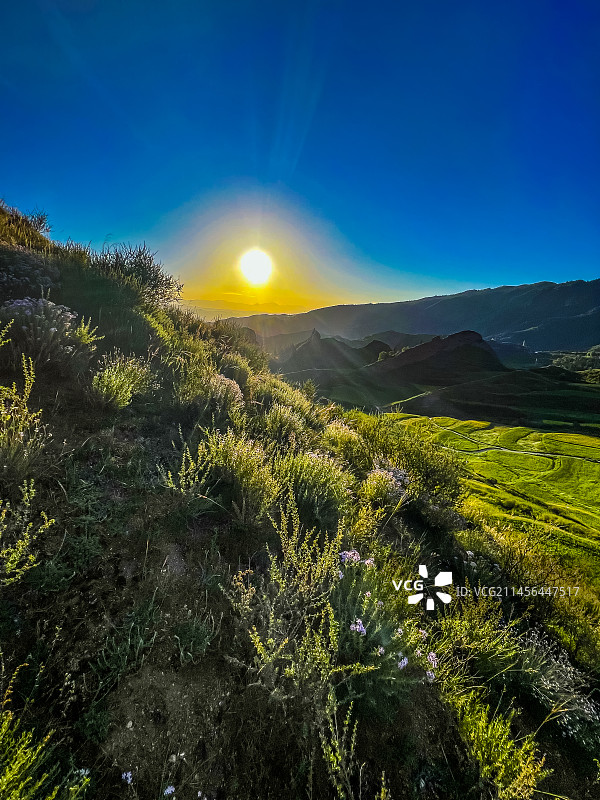 坎布拉国家森林公园图片素材