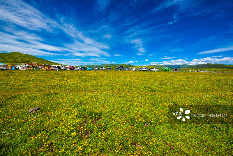 红原俄么塘花海图片素材