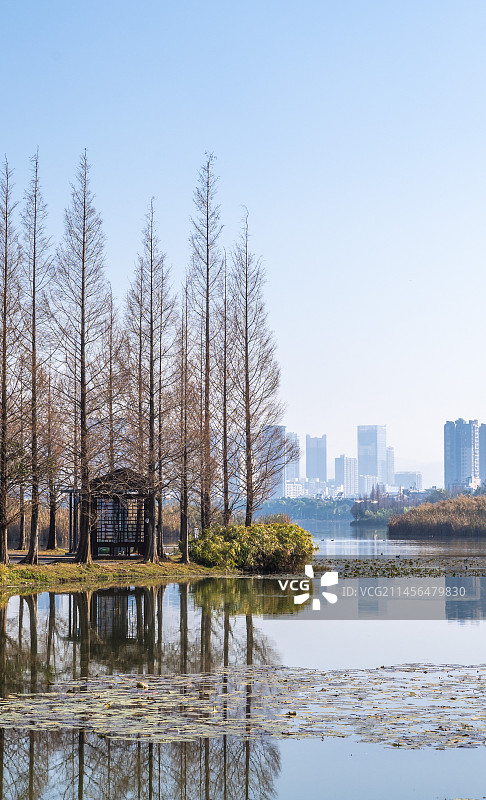 云南省弥勒市湖泉生态园风光图片素材