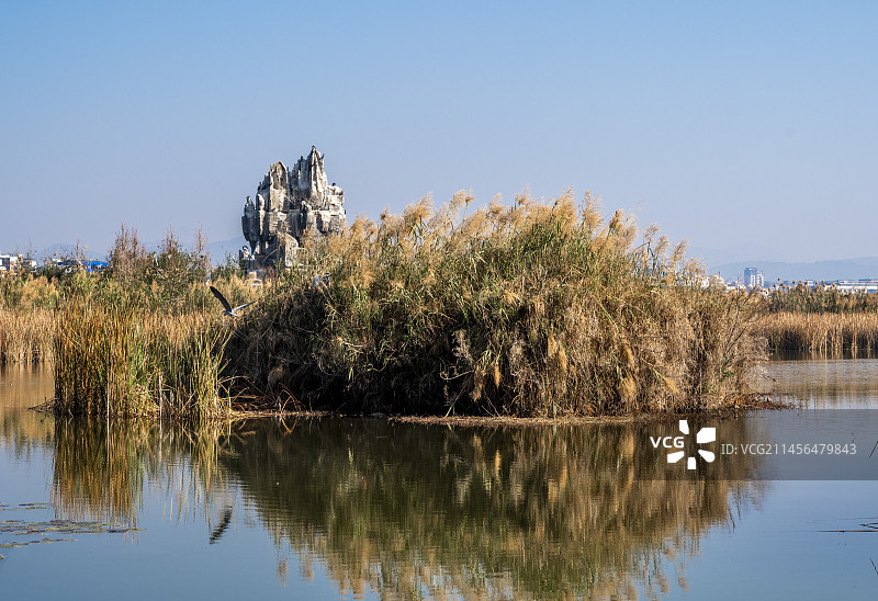 云南省弥勒市湖泉生态园风光图片素材