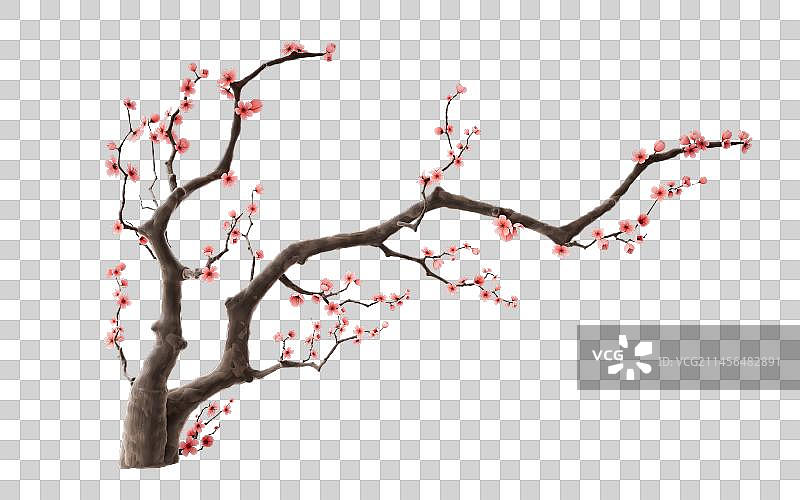梅花与树枝3D渲染图片素材