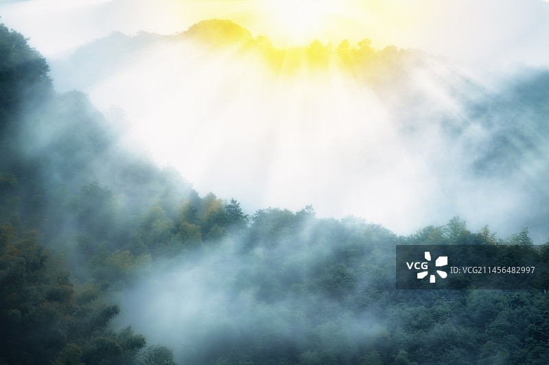 云雾中的山中森林图片素材