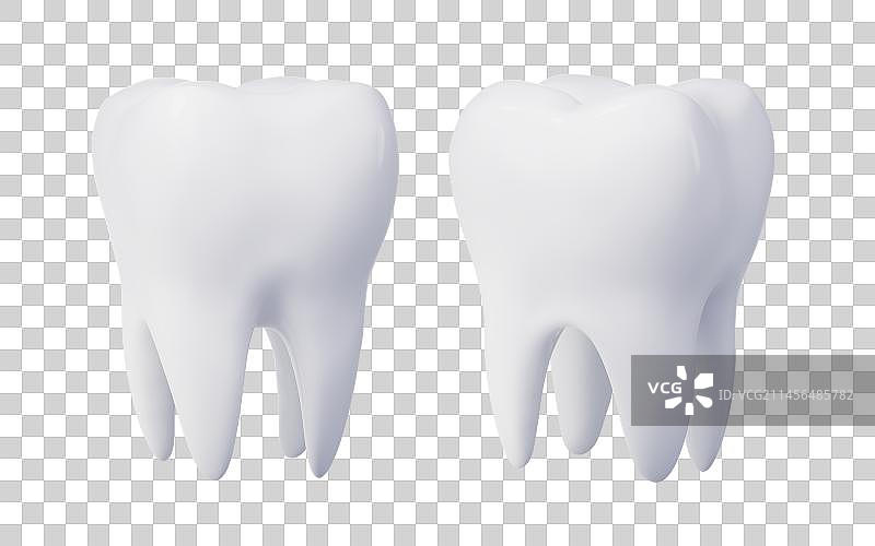 白色牙齿模型3D渲染图片素材