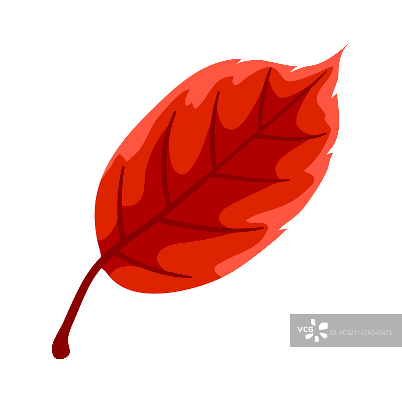 秋叶精美装饰图片素材