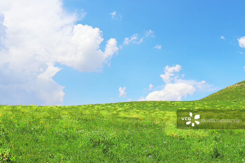 乌兰布统大草原图片素材