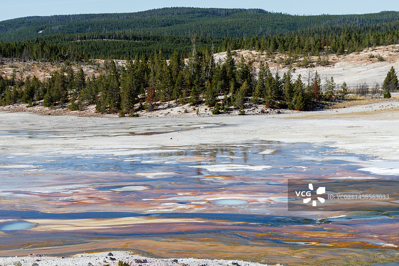诺里斯间歇泉盆地图片素材