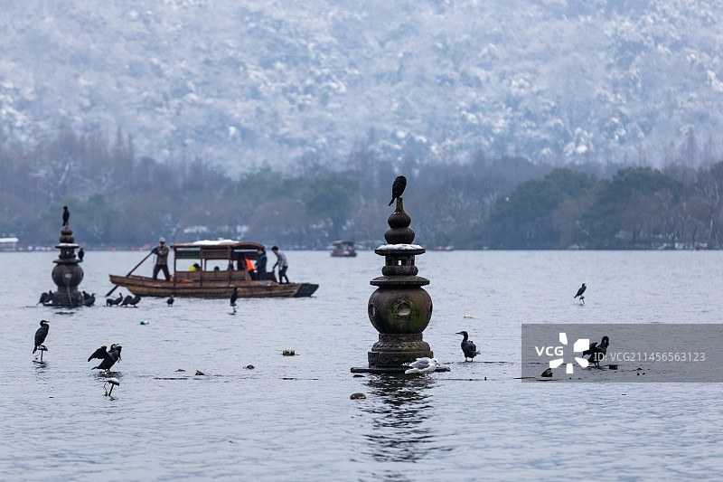 杭州西湖小瀛洲图片素材