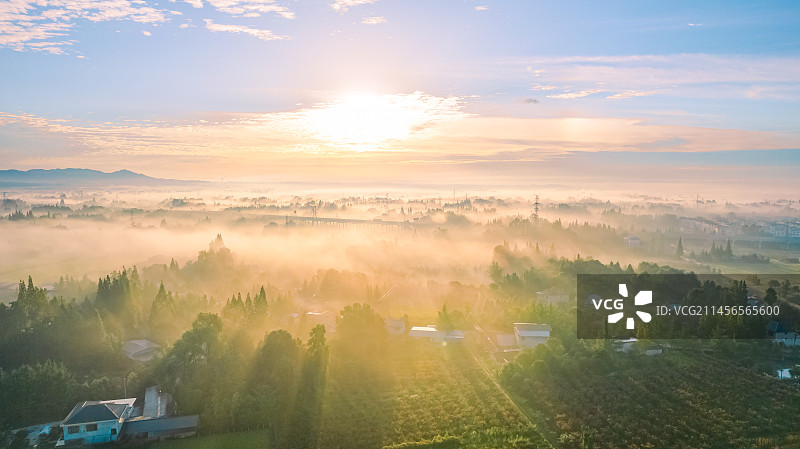 清晨阳光下迷雾中的高速公路图片素材