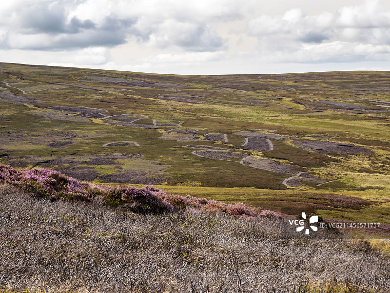 受损的石南荒地图片素材