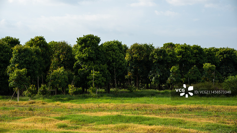 江边的牛粪与水高标杆图片素材