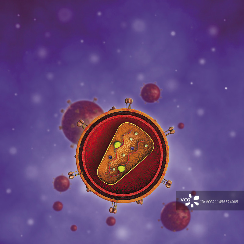 艾滋病毒颗粒，插图图片素材