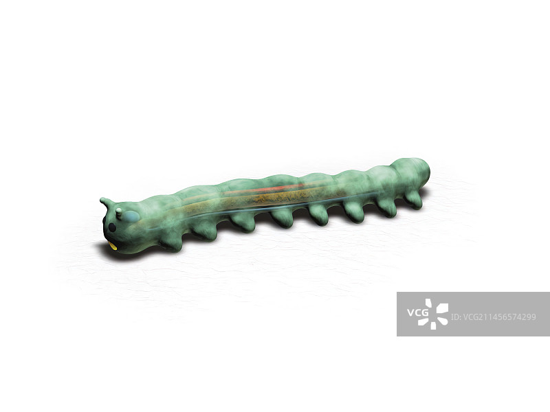 Urbilateria插画图片素材