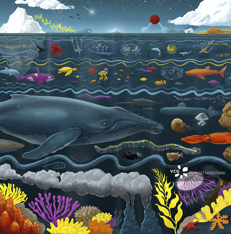 海洋概念插画图片素材