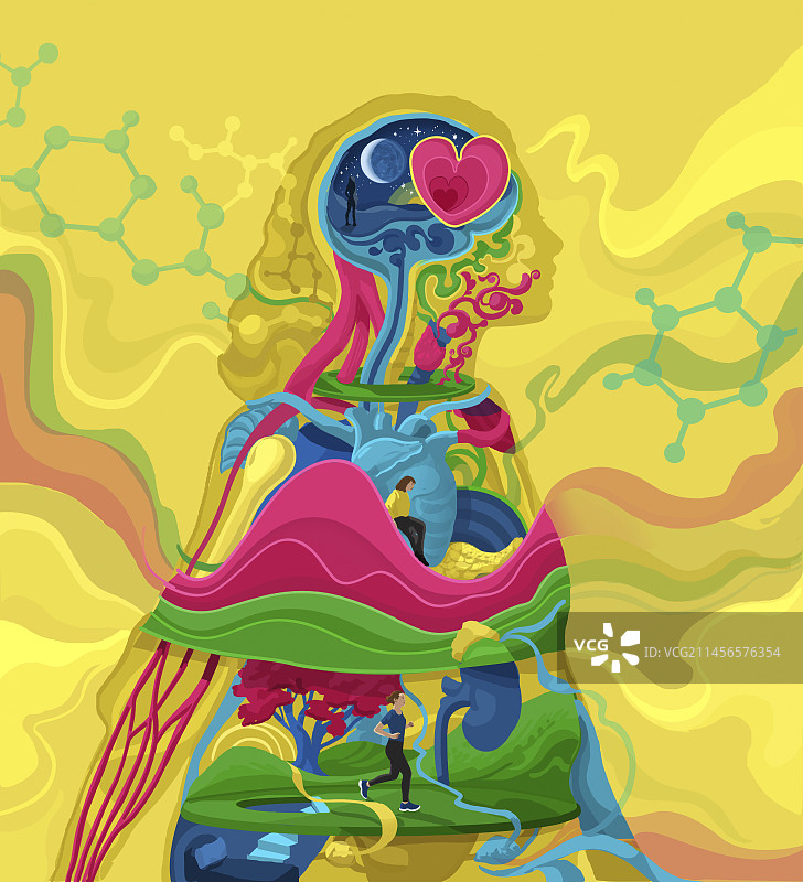 激素概念图图片素材