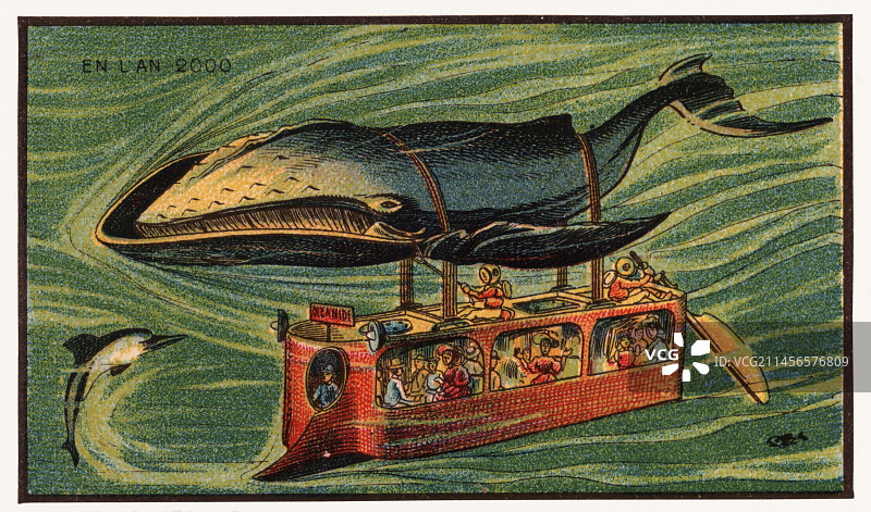 鲸鱼巴士插画图片素材