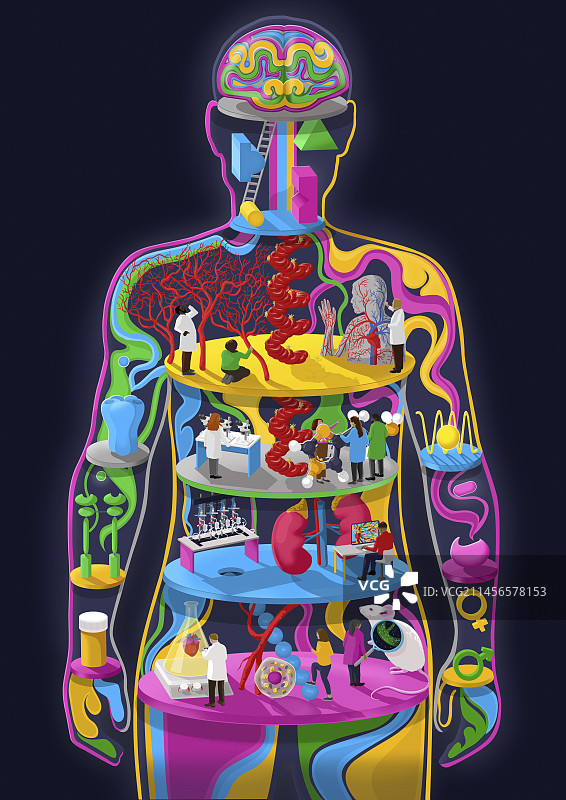 身体实验室概念插画图片素材
