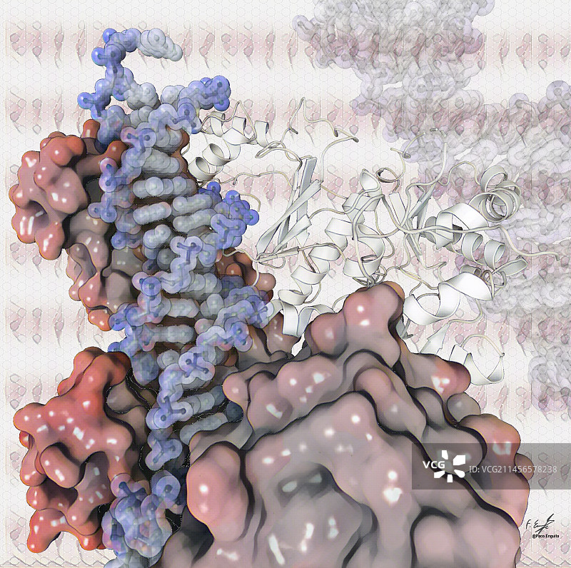 艾滋病毒逆转录酶插图图片素材