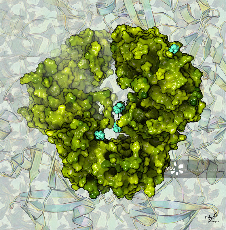 DNA损伤诱导蛋白1蛋白酶插图图片素材