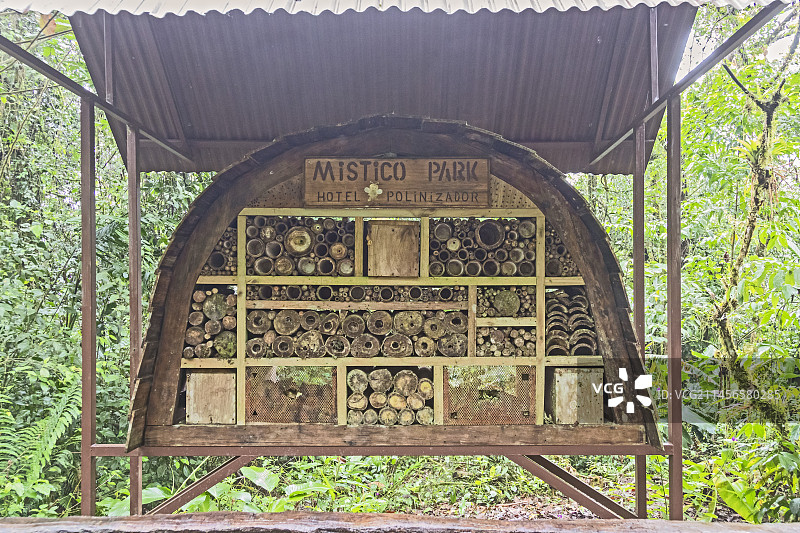 哥斯达黎加米斯蒂科公园的昆虫庇护所图片素材