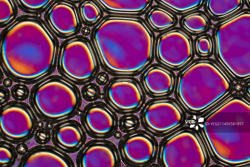 洗发水泡沫气泡晶格显微照片图片素材