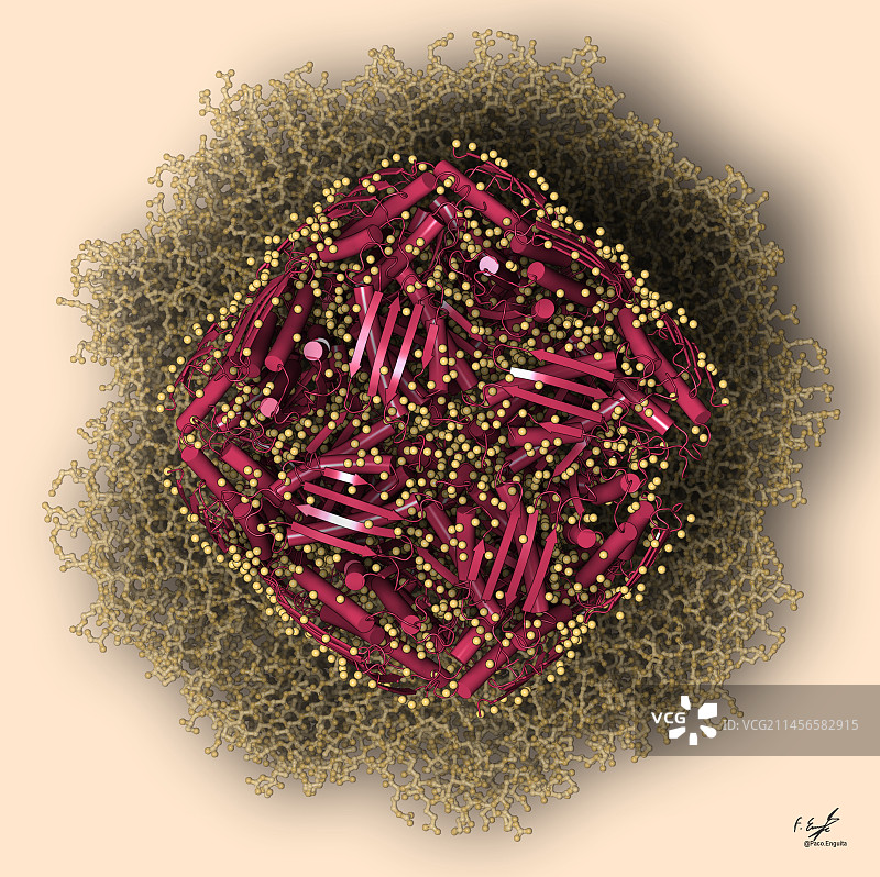 咪唑甘油磷酸脱水酶插图图片素材