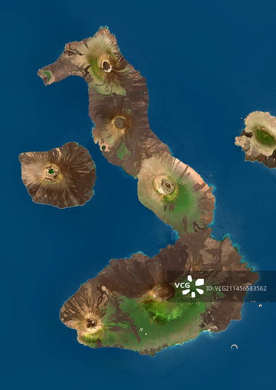 加拉帕戈斯群岛伊莎贝拉岛和费尔南迪纳岛卫星图像图片素材