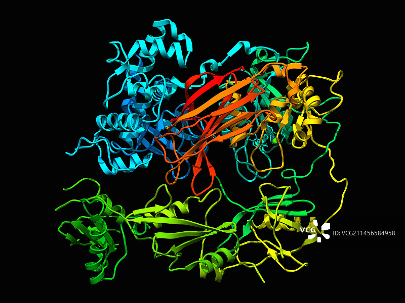 磷脂酶Cγ1（图示）图片素材
