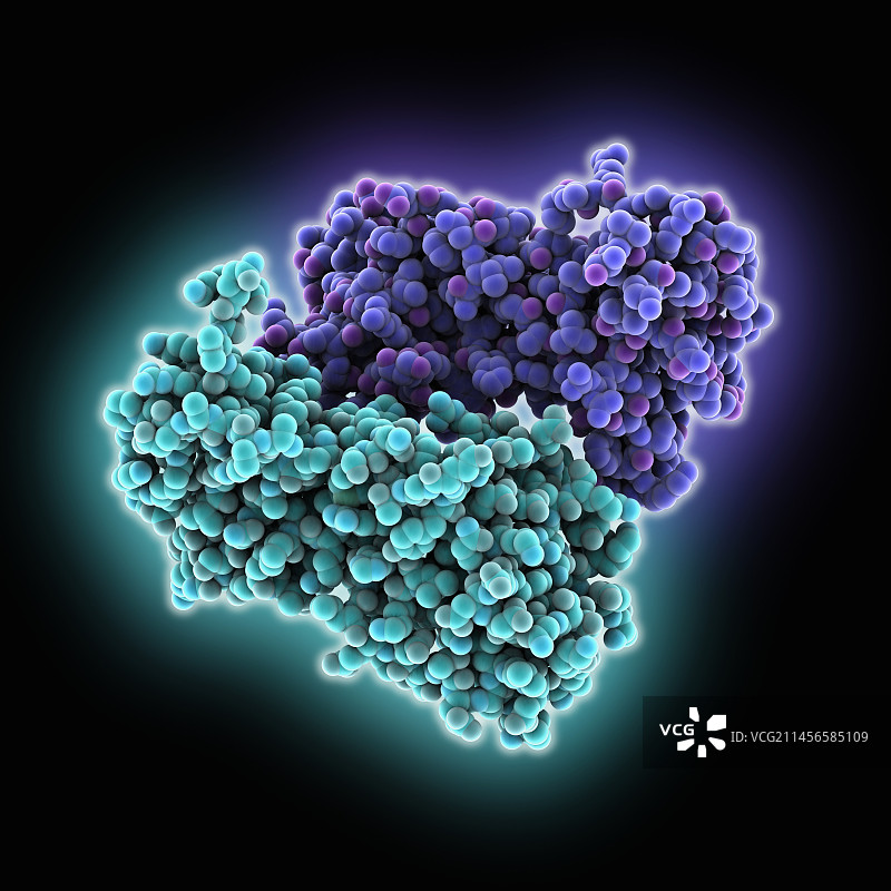 克里米亚-刚果出血热病毒图示图片素材
