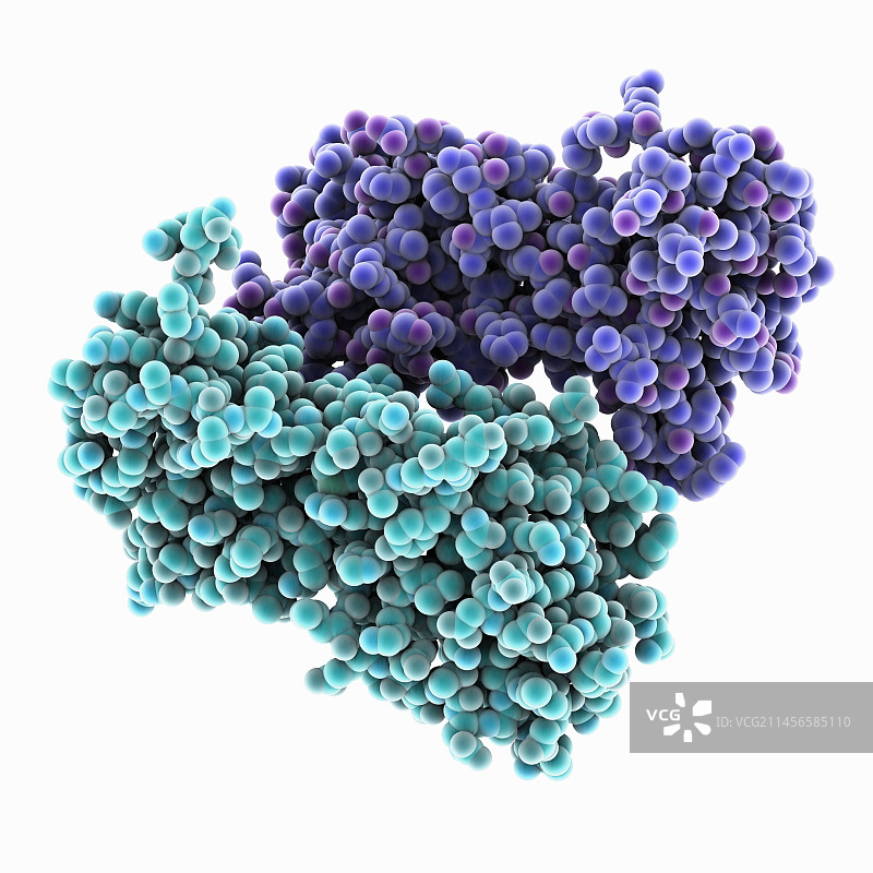 克里米亚-刚果出血热病毒图示图片素材