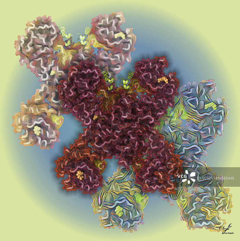 胰岛素受体分子示意图图片素材