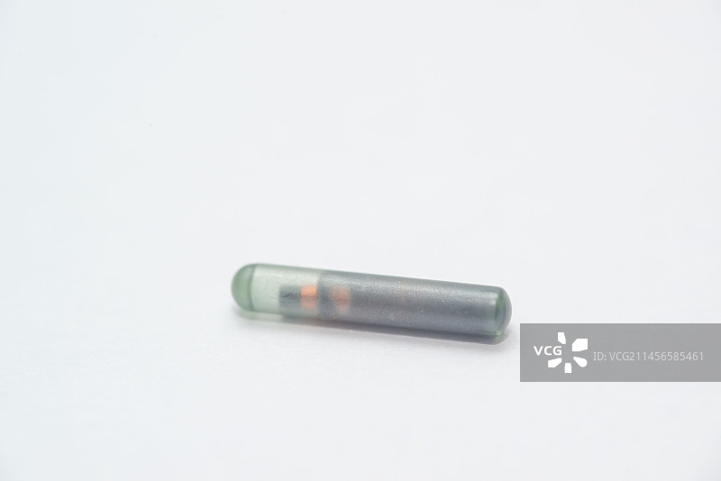 狗狗芯片图片素材