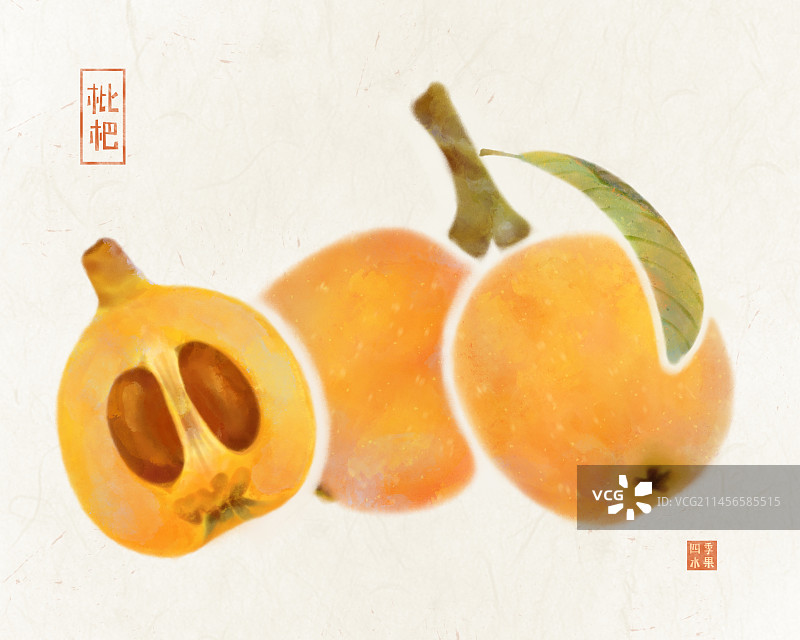 手绘初夏成熟的水果枇杷插画图片素材