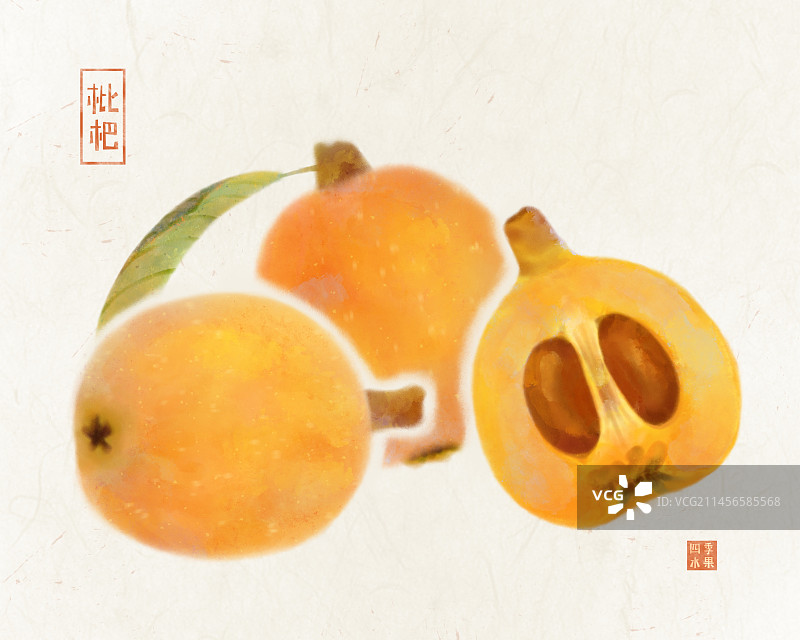 手绘初夏成熟的水果枇杷插画图片素材
