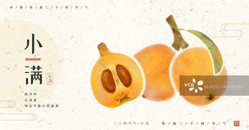 夏季节气小满-手绘成熟水果枇杷新中式海报图片素材