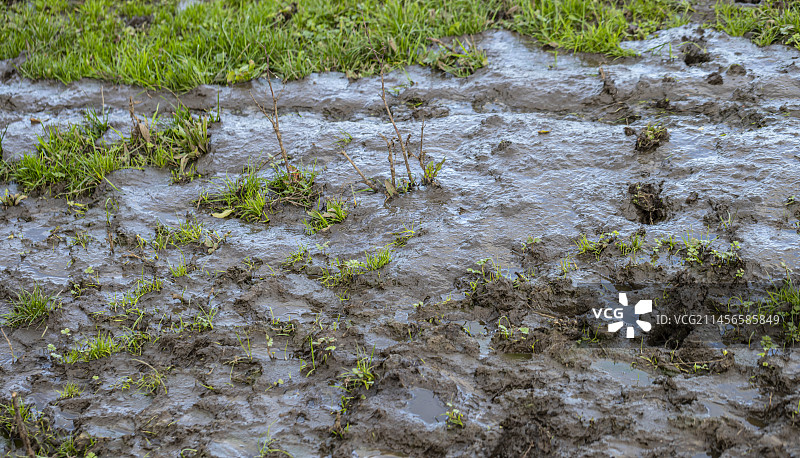 泥浆径流图片素材