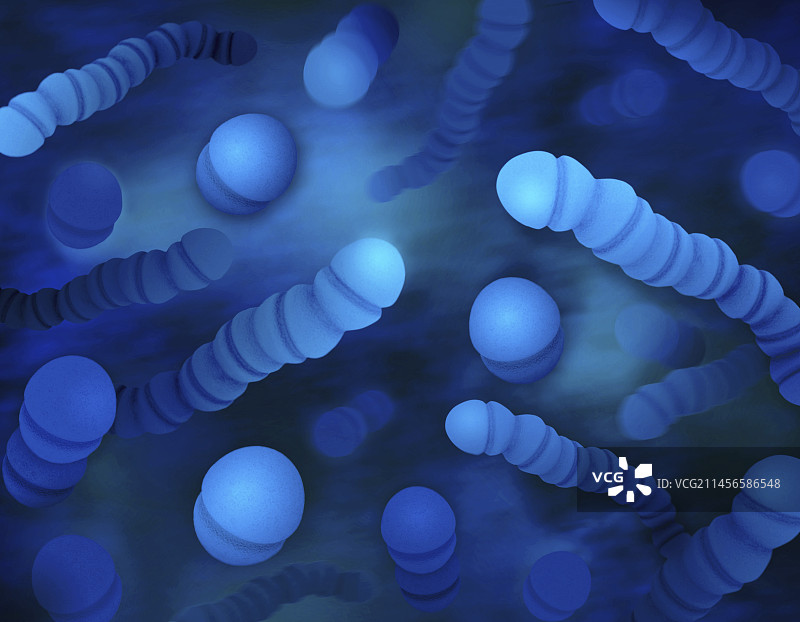 A群链球菌细菌，图示图片素材