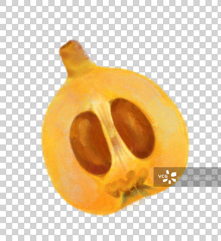 手绘夏天成熟的水果枇杷清新插画图片素材