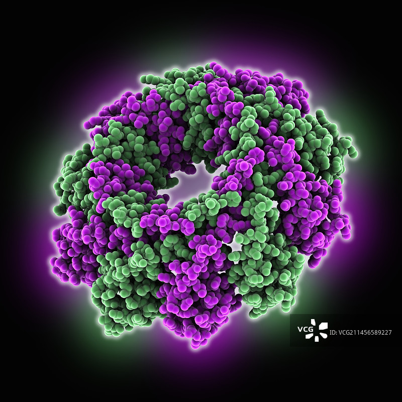 假单胞菌噬菌体末端酶分子模型图片素材