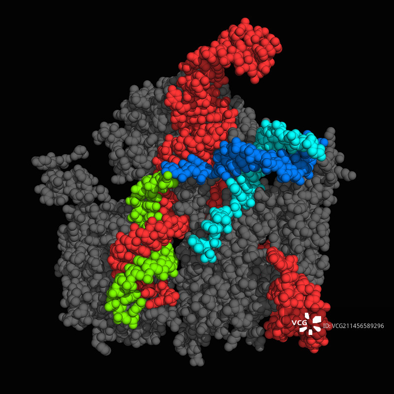 CRISPR相关核酸内切酶复合物分子模型图片素材