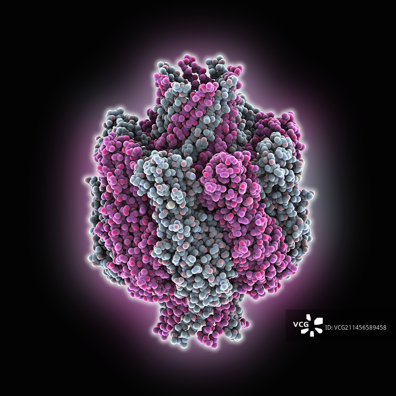 产气荚膜梭菌β-毒素分子模型图片素材